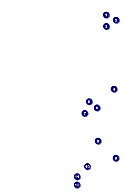 Chinese New Year Flower Snake Drink Ticket Front Field Markers