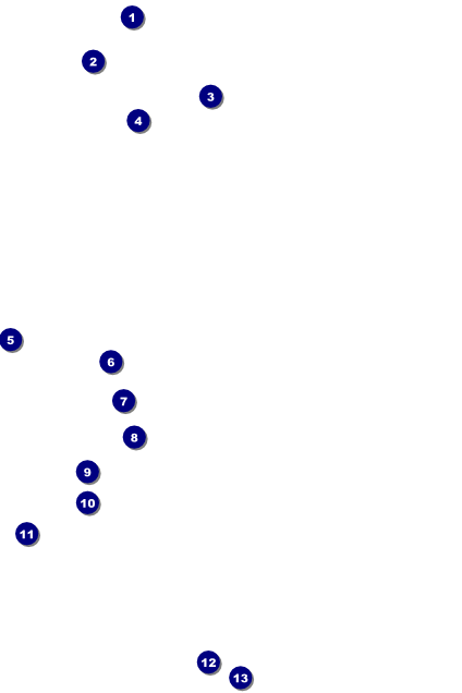 Blue Flower Poster Front Field Markers