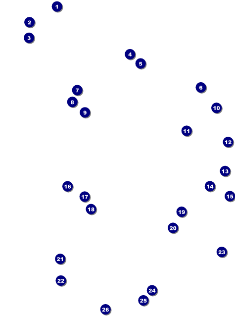 All Purpose Bright Flyer Front Field Markers