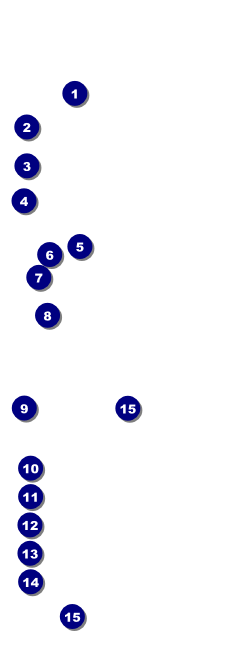 All Purpose Lights Raffle Ticket Front Field Markers