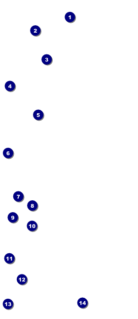 Orange Geometric VIP Pass Front Field Markers