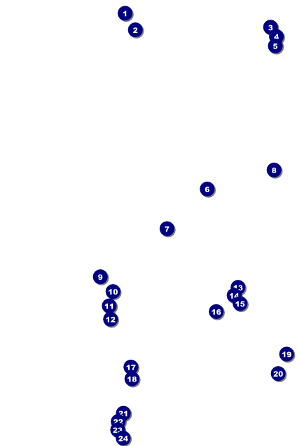 Anime Poster Front Field Markers