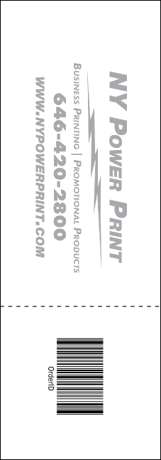 Dodgeball Raffle Ticket Product Back