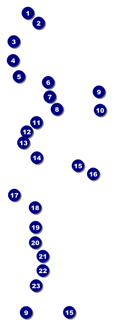 Dodgeball Raffle Ticket Front Field Markers