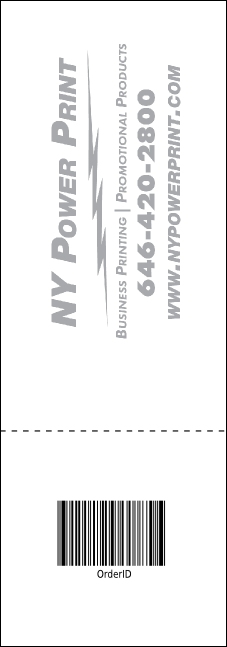 Blues Cruise Raffle Ticket Product Back