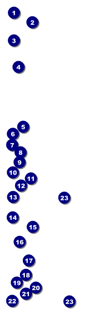 Swim Camp Event Ticket Front Field Markers