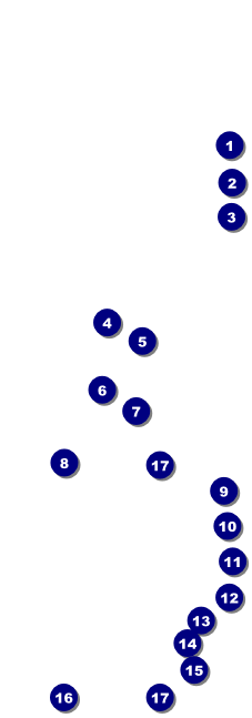 Spanish Festival Event Ticket Front Field Markers