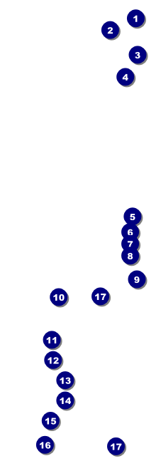 Spanish Flag Raffle Ticket Front Field Markers