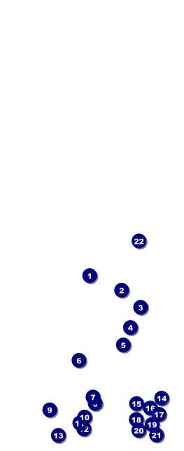 Holiday Lights Table Tent Front Field Markers