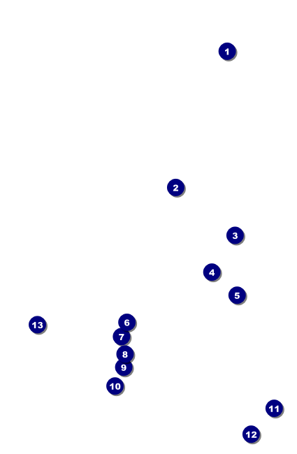 Royal VIP Event Badge Small Front Field Markers