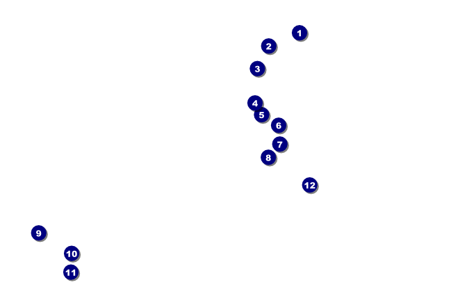 Triathlon VIP Event Badge Medium Front Field Markers