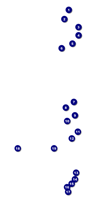 Diabetes VIP Event Badge Large Front Field Markers