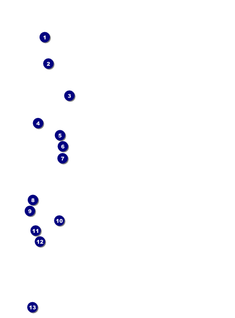 Pumpkin Patch Flyer Front Field Markers