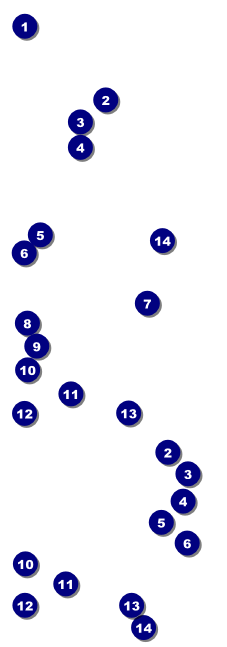Golf Water Hazard Reserved Event Ticket Front Field Markers