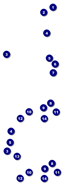 Paradise Reserved Event Ticket Front Field Markers