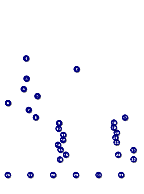 New Hampshire Flyer Front Field Markers