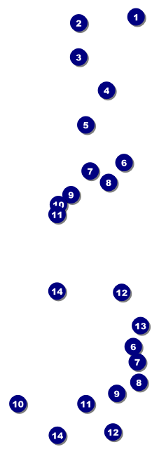 BMX Reserved Event Ticket Front Field Markers
