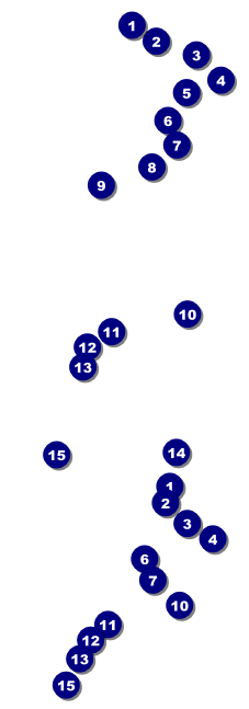 Calgary Reserved Event Ticket Front Field Markers