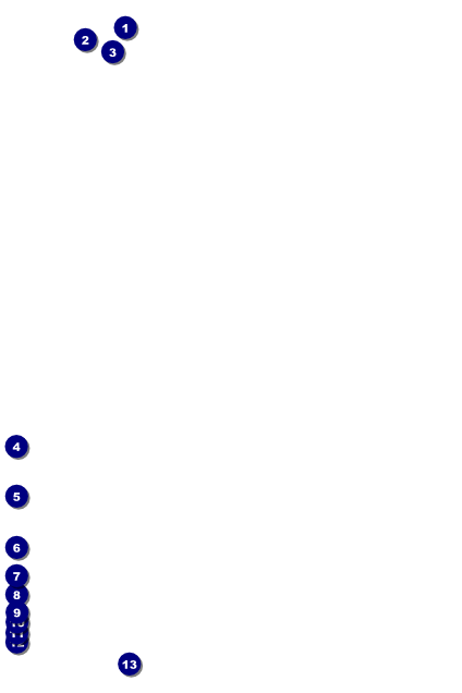 Chinese New Year Monkey Poster Front Field Markers