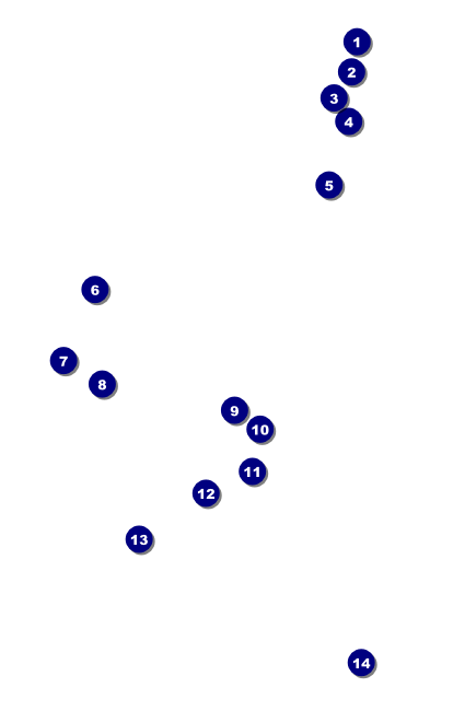 Spring Festival Drink Ticket Front Field Markers