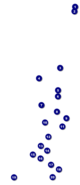 Chinese New Year Pig VIP Pass Front Field Markers