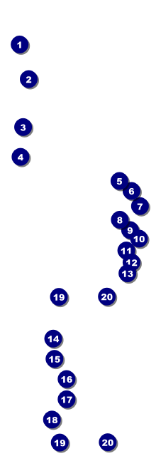 Black Friday Sale Raffle Ticket Front Field Markers