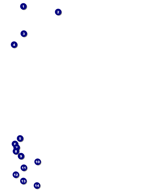 Prism Tree Flyer Front Field Markers