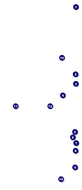 Prism Tree Hang Tag Front Field Markers
