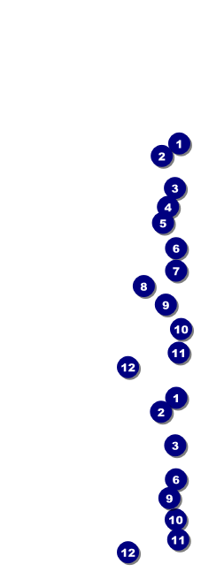 Martin Luther King Jr. Event Ticket Front Field Markers