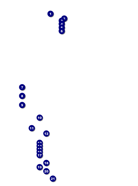 Inland Empire Flyer Front Field Markers