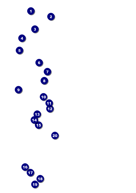 Spider Web Postcard 001 Front Field Markers