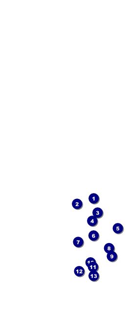 Hip Hop Green Table Tent Front Field Markers