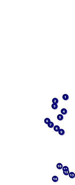 Denver Table Tent Front Field Markers