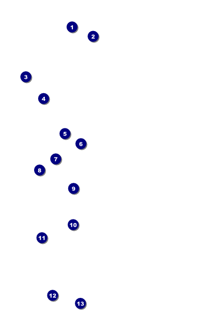 Military Ball - US Flags Poster Front Field Markers