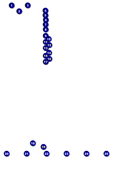Toronto Flyer (Black) Front Field Markers