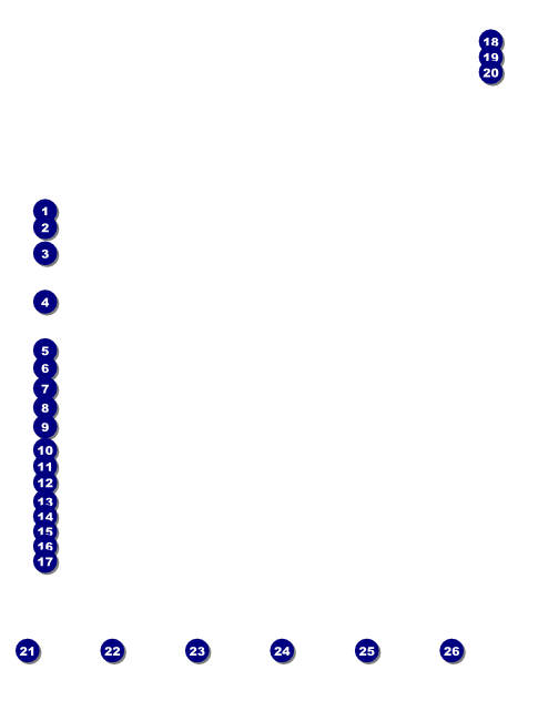Honolulu Flyer Front Field Markers