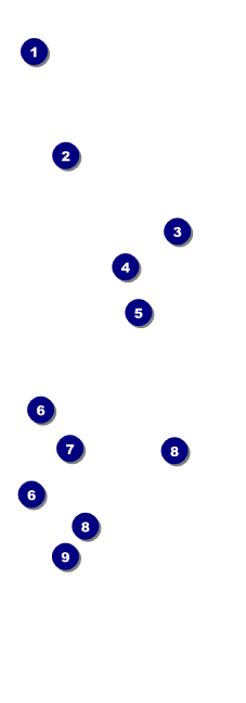 Dinosaur Illustrated QR Event Ticket Front Field Markers