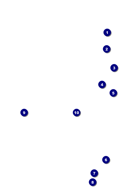 All Purpose Blue VIP Event Badge Small Front Field Markers