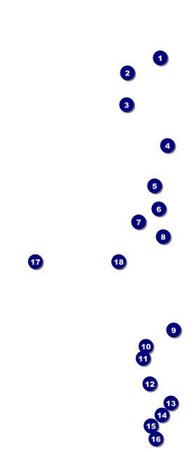 All Purpose Horizon VIP Event Badge Large Front Field Markers