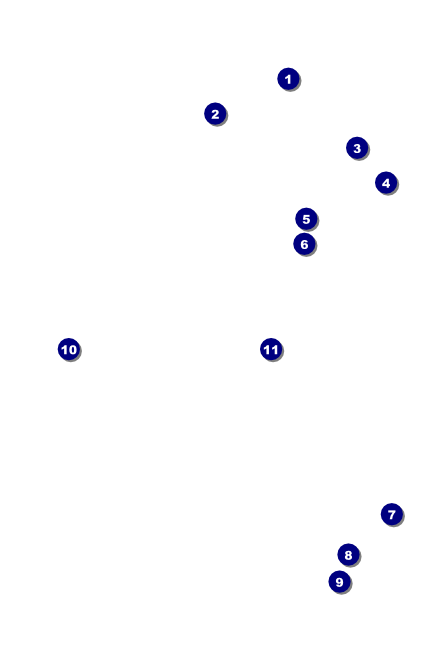 Champagne Bistro VIP Event Badge Small Front Field Markers
