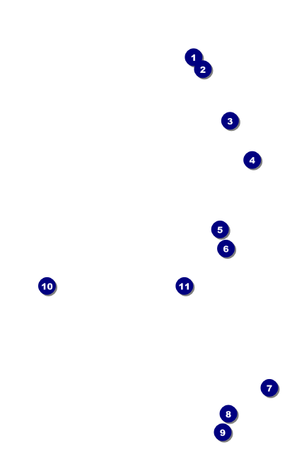 Classic Black Pinstripe VIP Event Badge Medium Front Field Markers