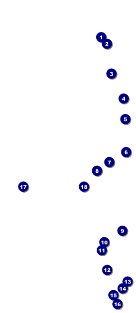 Classic Black Pinstripe VIP Event Badge Large Front Field Markers