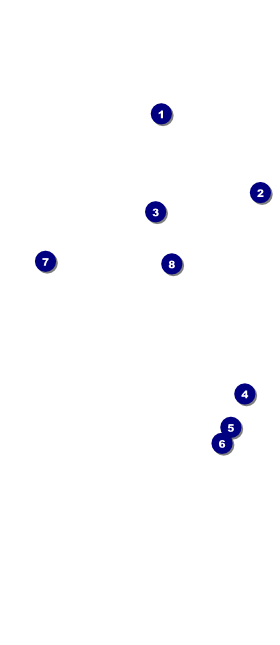 Conference Series: All Purpose Trees VIP Event Badge Large Front Field Markers