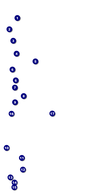 Mixed Martial Arts (Green) VIP Event Badge Large VIP Event Badge Large Front Field Markers