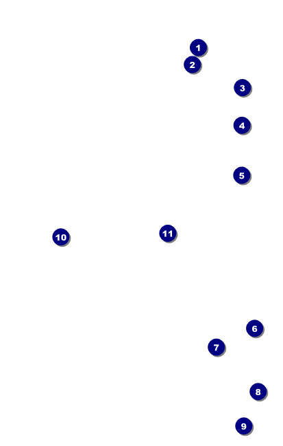 Music Festival VIP Event Badge Medium VIP Event Badge Medium Front Field Markers