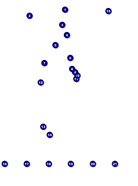 Sacramento Logo Flyer Front Field Markers