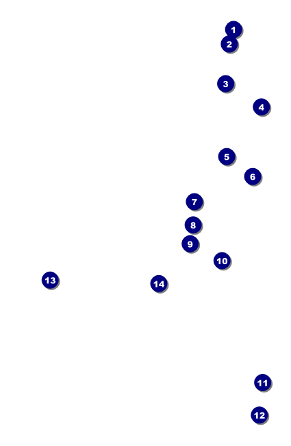 Soccer stadium VIP Event Badge Small VIP Event Badge Small Front Field Markers