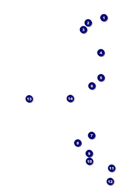Hollywood Skyline VIP Event Badge Medium Front Field Markers