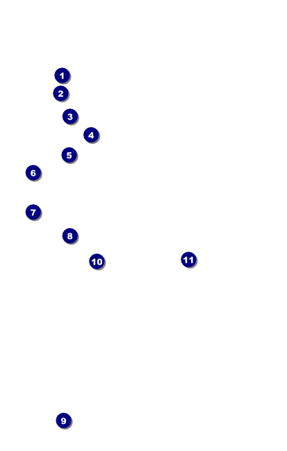 Kansas City BW VIP Event Badge Medium Front Field Markers