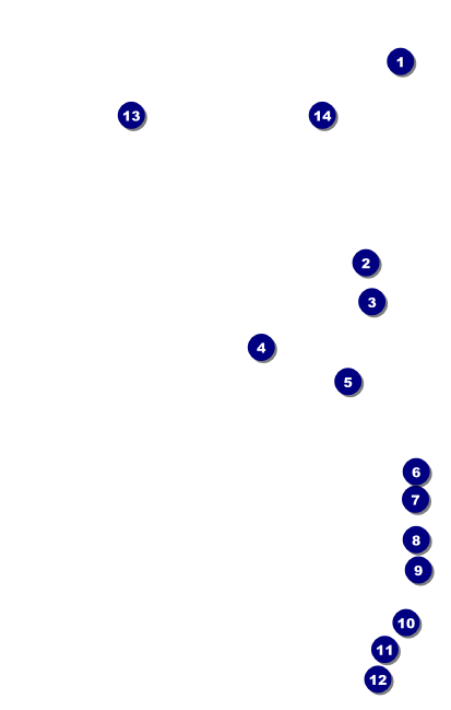 Leukemia VIP Event Badge Medium Front Field Markers